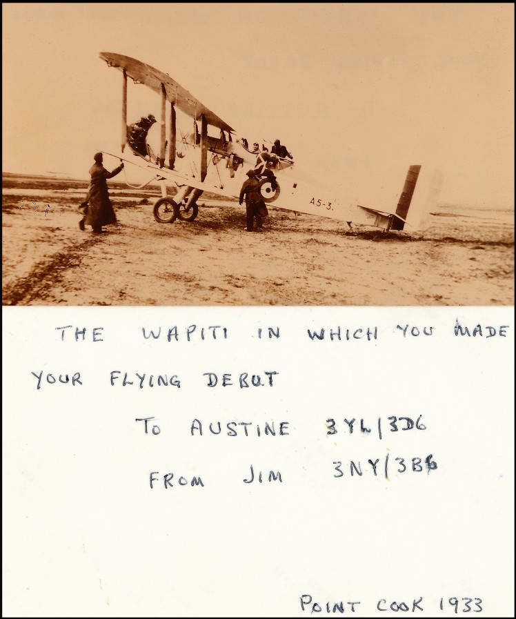 3YL